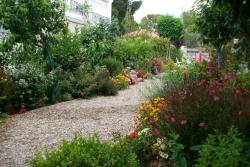 Το Φύλλο Το Φύλλο